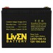 Bater�a Liven Battery LVDC100-12 | 12 voltios 100 amperios Ciclo Profundo